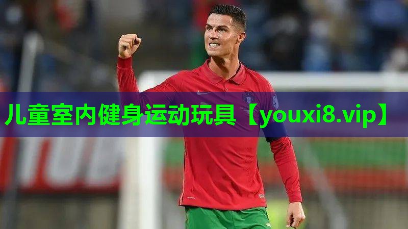 儿童室内健身运动玩具