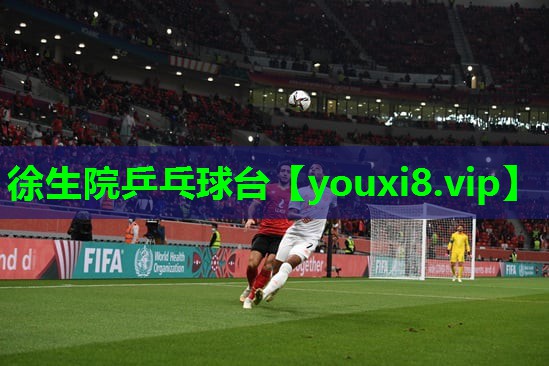 徐生院乒乓球台