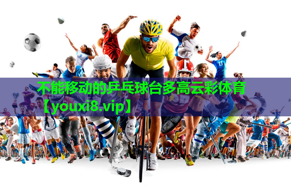不能移动的乒乓球台多高云彩体育