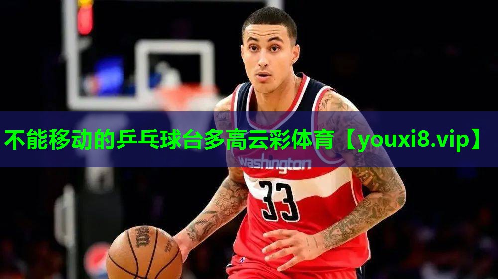 不能移动的乒乓球台多高云彩体育