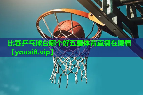 比赛乒乓球台哪个好五星体育直播在哪看