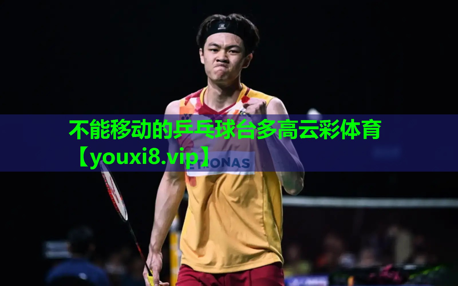 不能移动的乒乓球台多高云彩体育