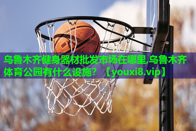 乌鲁木齐健身器材批发市场在哪里,乌鲁木齐体育公园有什么设施？