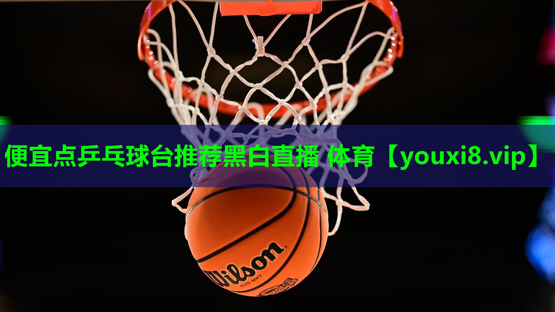 便宜点乒乓球台推荐黑白直播 体育