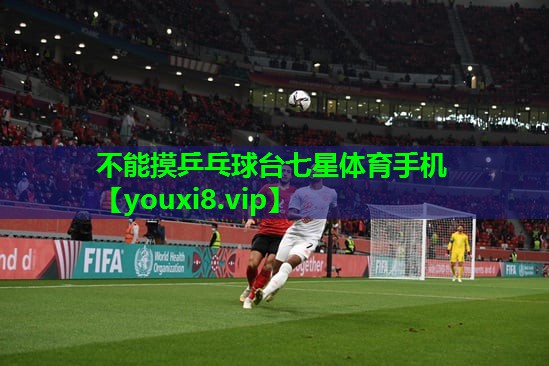 不能摸乒乓球台七星体育手机