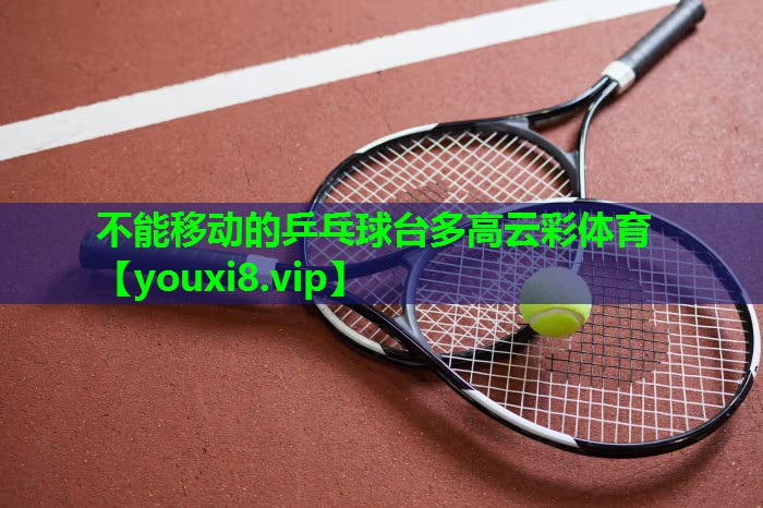 不能移动的乒乓球台多高云彩体育