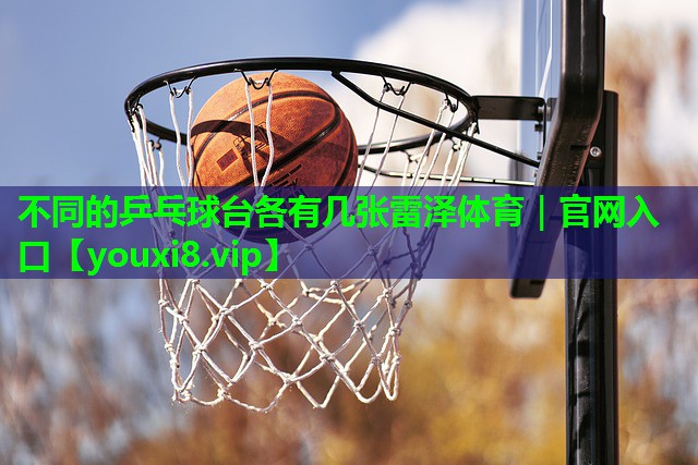 不同的乒乓球台各有几张雷泽体育｜官网入口