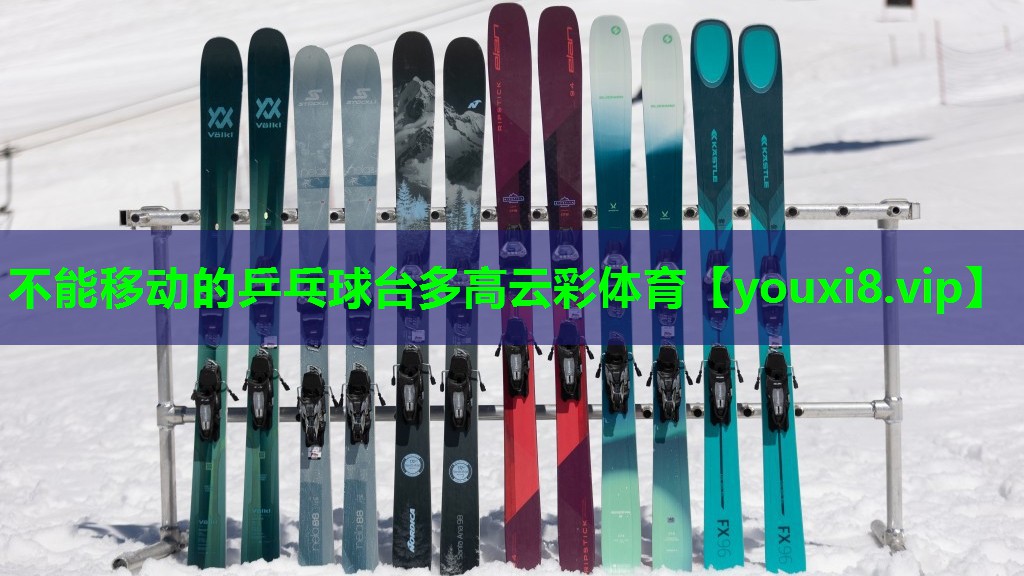 不能移动的乒乓球台多高云彩体育