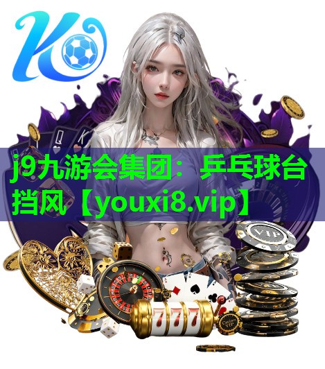 乒乓球台挡风 乒乓球台挡风