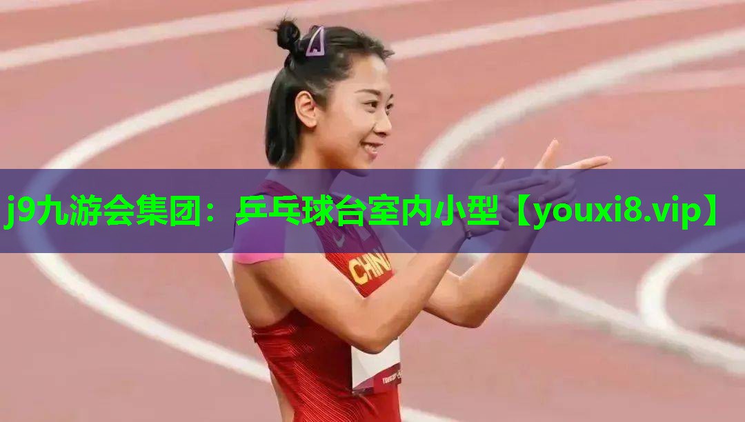 乒乓球台室内小型 乒乓球台室内小型