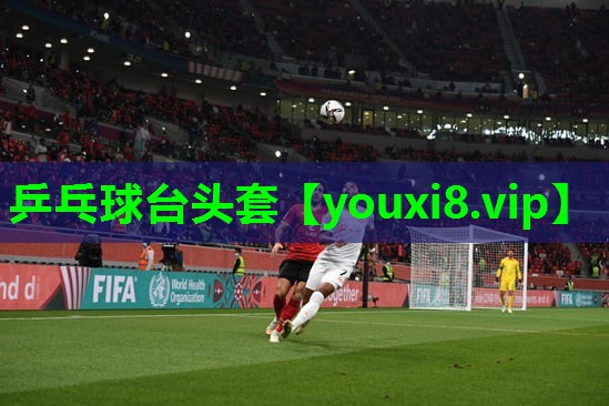 乒乓球台头套 乒乓球台头套