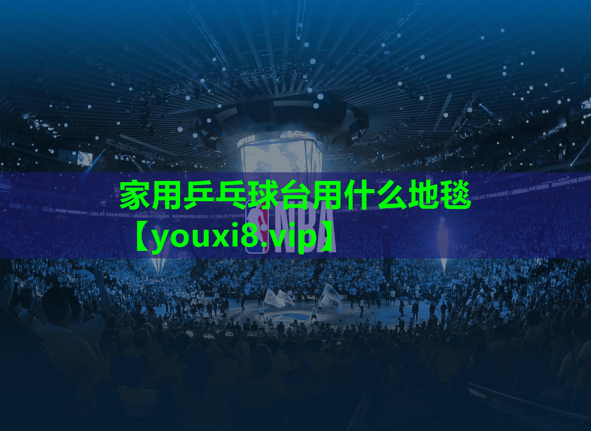 家用乒乓球台用什么地毯 家用乒乓球台用什么地毯