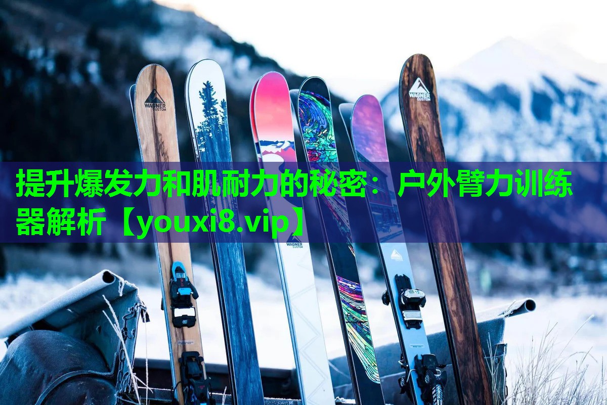 提升爆发力和肌耐力的秘密:户外臂力训练器解析 提升爆发力和肌耐力的秘密:户外臂力训练器解析