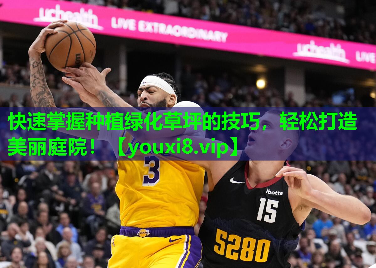 快速掌握种植绿化草坪的技巧，轻松打造美丽庭院！
