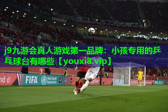 小孩专用的乒乓球台有哪些 小孩专用的乒乓球台有哪些