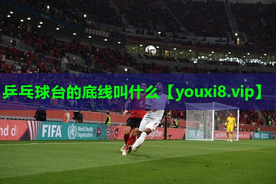 乒乓球台的底线叫什么 乒乓球台的底线叫什么