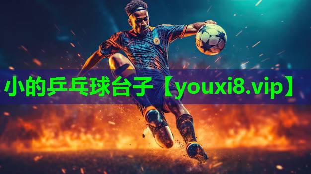 小的乒乓球台子 小的乒乓球台子