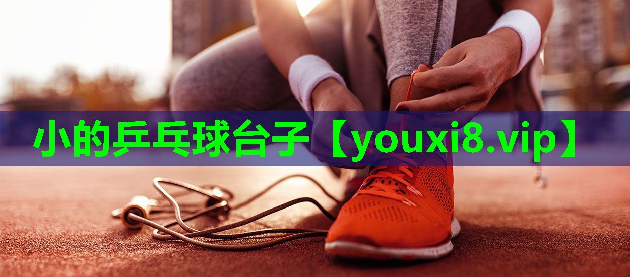 小的乒乓球台子 小的乒乓球台子